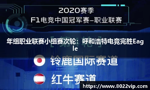 年组职业联赛小组赛次轮：呼和浩特电竞完胜Eagle